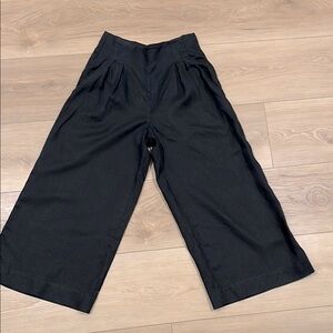 Banana Republic Black Linen Pleated High Waisted Wide Leg Pants in 6 petite